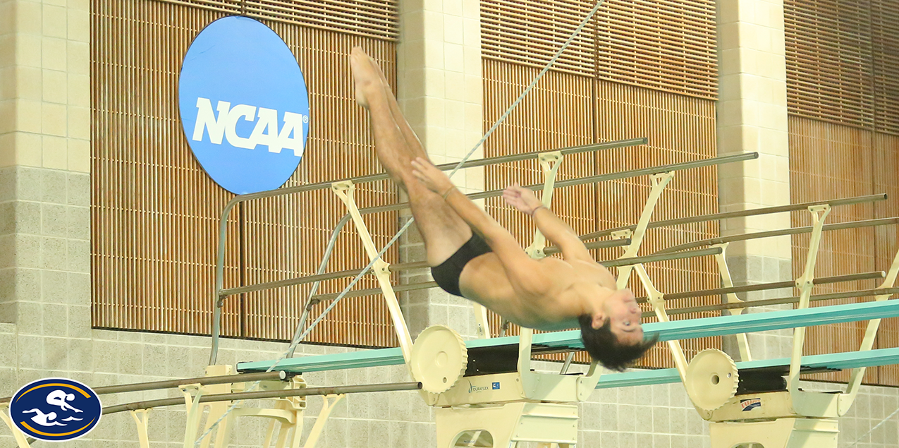 Konstantine Partalas, Trinity University, Diver of the Week (Week 9)