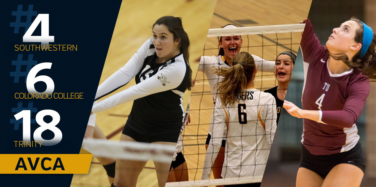 Southwestern Holds, Colorado College and Trinity Rise in Latest AVCA Coaches Poll